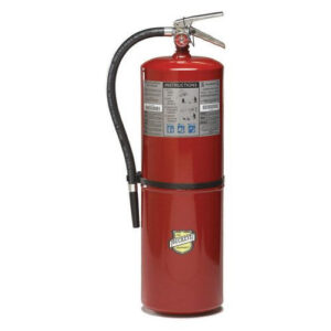 BUCKEYE FIRE 30 LB. MULTIPURPOSE (ABC) 12905